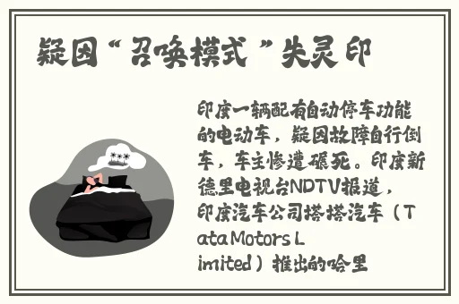 大菠萝福建导航网址